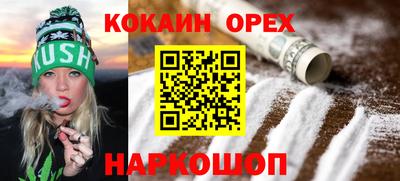 гашик Моздок