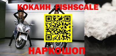 гашик Моздок