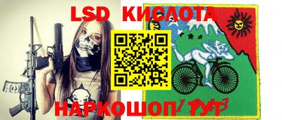 гашик Моздок