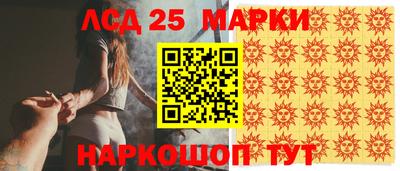 гашик Моздок
