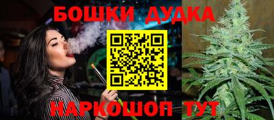 гашик Моздок
