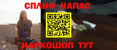 гашик Моздок