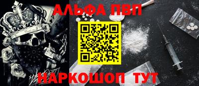 гашик Моздок