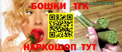 гашик Моздок