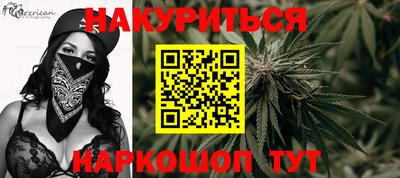 гашик Моздок