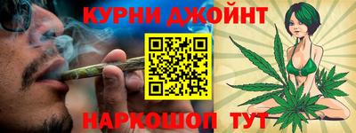 гашик Моздок